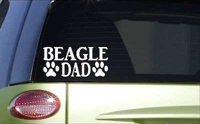 Beagle Vest - Etsy