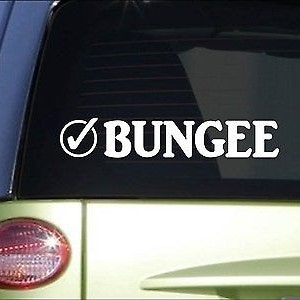 Bungee Check *H994* 8&quot; Sticker Decal Serve Bungee Jump Cord Bridge