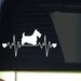 Aazon.co: K1058 Havanese Dog Heartbeat Lifeline onitor Decal Sticker Aazon.co: K1058 Havanese Dog Heartbeat Lifeline onitor Decal Sticker