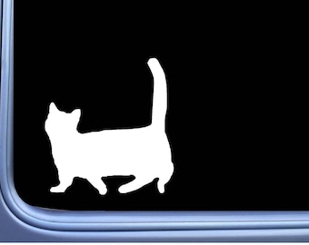 Munchkin Cat Plain M353 6 inch Sticker Decal kitten litterbox catnip