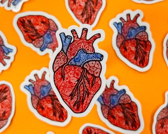 Mini Anatomical Heart Sticker (WATERPROOF)