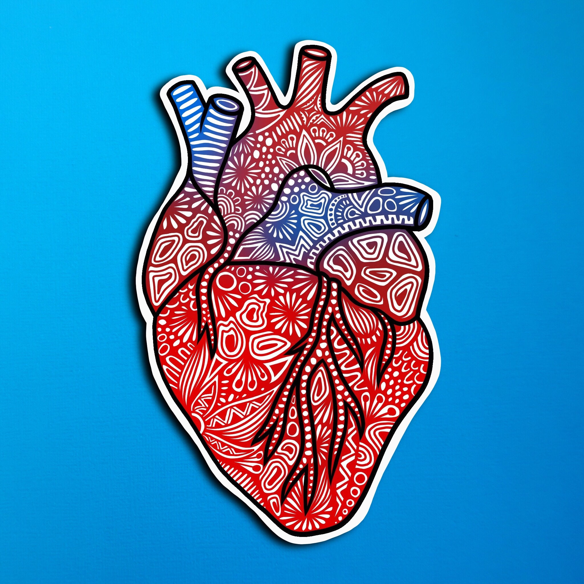 Anatomical Heart Sticker (WATERPROOF)