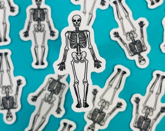 Mini Skeleton Sticker (WATERPROOF)