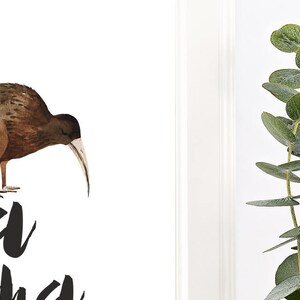 May include: A brown and black kiwi bird with a long beak is illustrated on a white background with the word "Kia Ora" written in black below the bird.