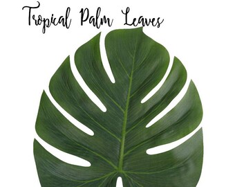 Table Centerpiece Palm Leaves 6ct Palm Leave Table Decor - Luau Party Decor - Hawaii Party Theme Favors - Sea Party Decor - Palm Tree