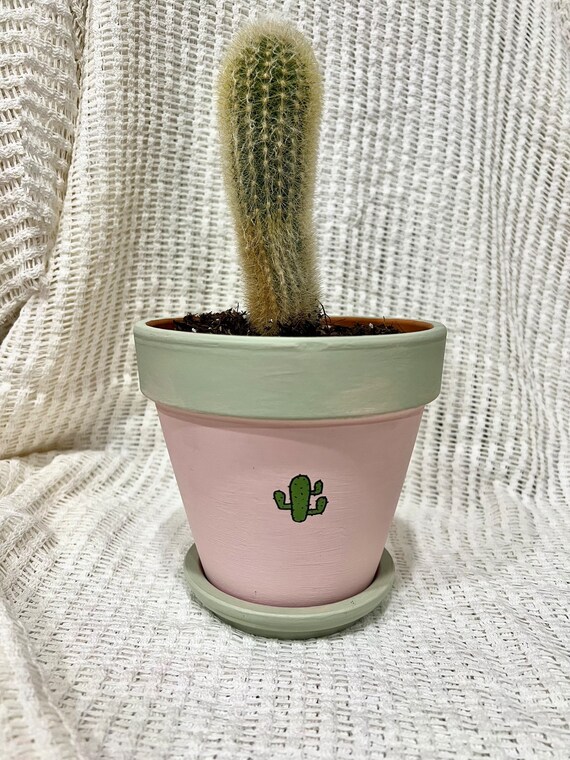 Cactus Mod Pastel Planter | Custom | Painted Terra Cotta - Etsy