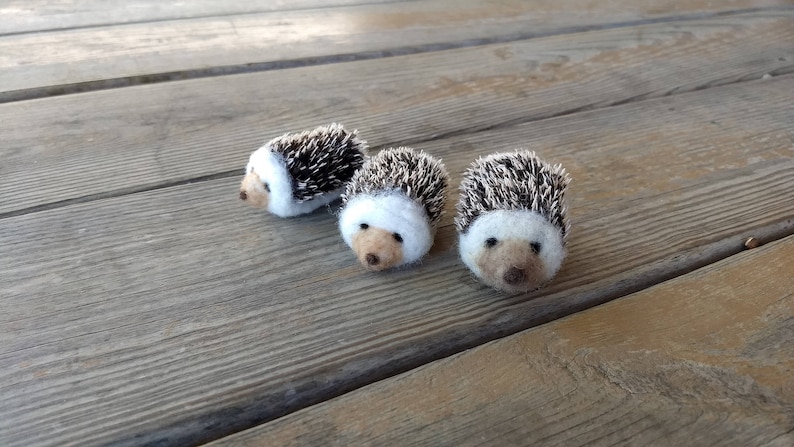 Mini Hedgehog image 5