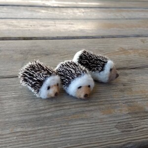 Mini Hedgehog image 4
