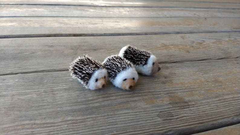 Mini Hedgehog image 4