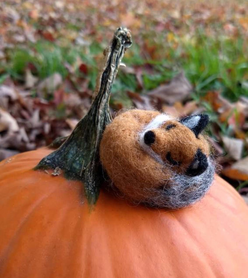 Needle Felted Sleeping Fox or Sitting Fox image 4