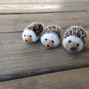 Mini Hedgehog image 3