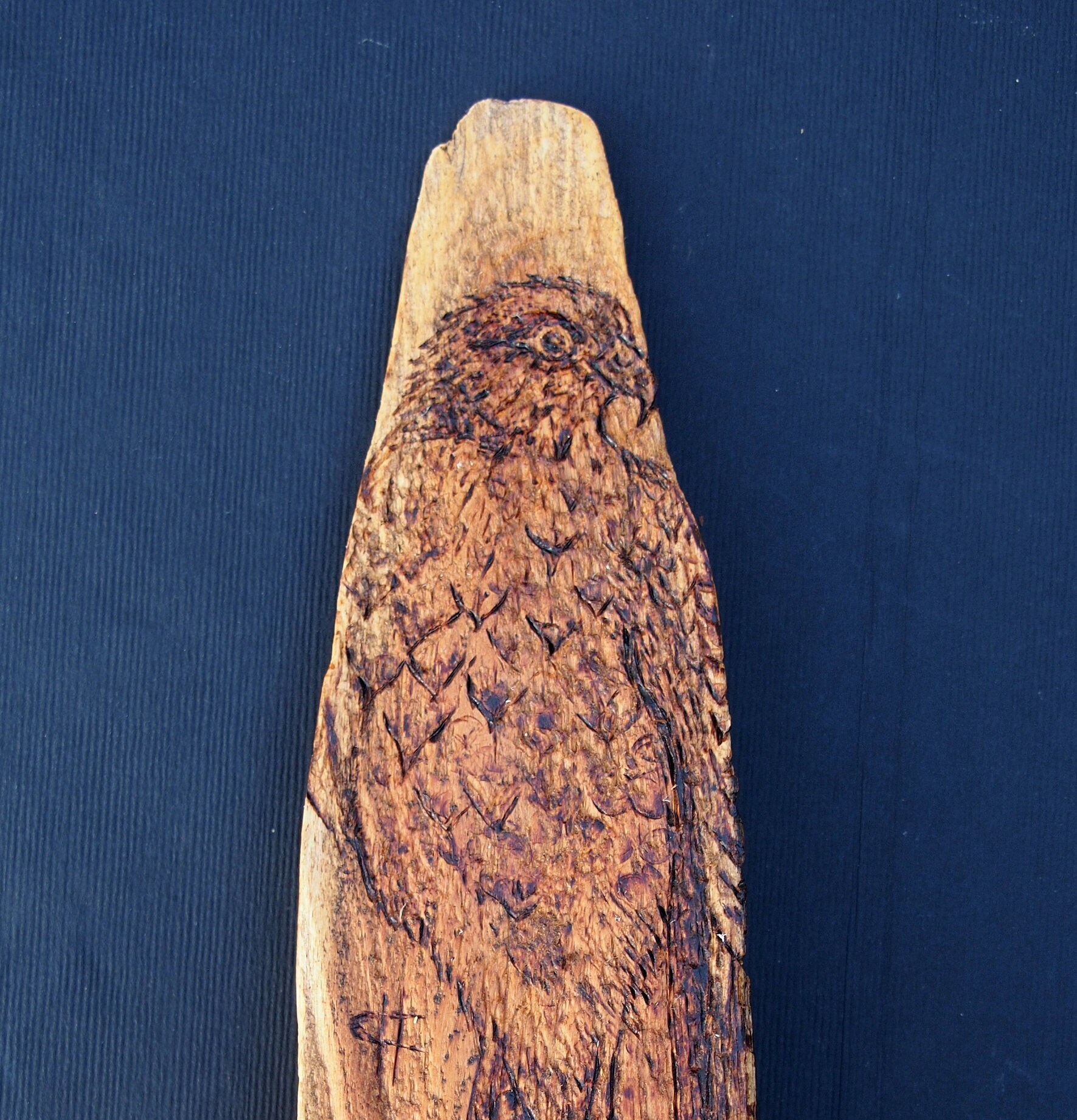 Pyrogravure Epervier sur Bois Français Rapace Oiseaux