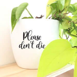 Pode incluir: Vaso de cerâmica branco com o texto "Please don't die" em letras pretas. Uma planta verde com folhas amarelas está crescendo no vaso.