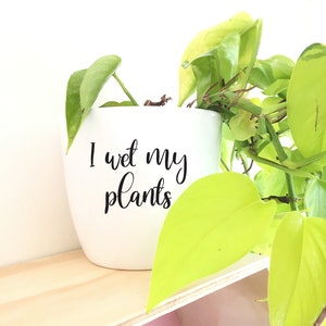Pode incluir: Vaso de cerâmica branco com o texto "I wet my plants" em letras pretas. Uma planta verde com folhas amarelas está crescendo no vaso.