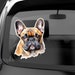 see more listings in the Dog on board decals section