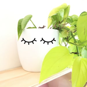 Pode incluir: Um vaso de cerâmica branco com design de cílios pretos, contendo uma planta verde com folhas grandes e verde brilhante. O vaso está em uma prateleira de madeira clara, com uma seção rosa abaixo.