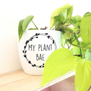 Pode incluir: Vaso de cerâmica branco com um design de coroa preta e o texto "My Plant Bae". Uma planta verde está crescendo no vaso.