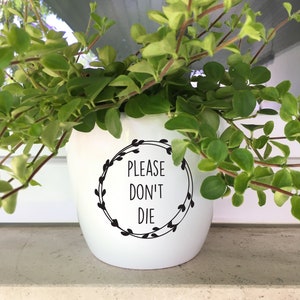 Pode incluir: Um vaso de cerâmica branco com o texto "PLEASE DON'T DIE" em preto, rodeado por um desenho de coroa preta. O vaso é preenchido com uma planta verde e frondosa. O vaso está sobre uma superfície branca.