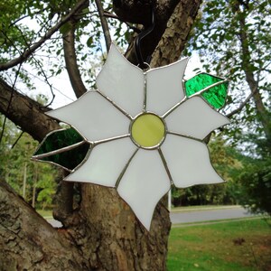 Bright White Poinsettia