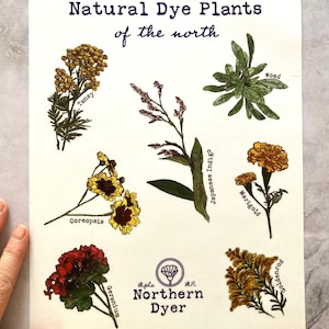 Natural Dye Garden Sticker Bundle Pack