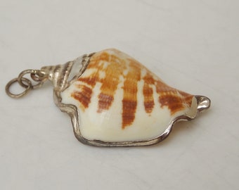 Shell Pendant with Silver Outline