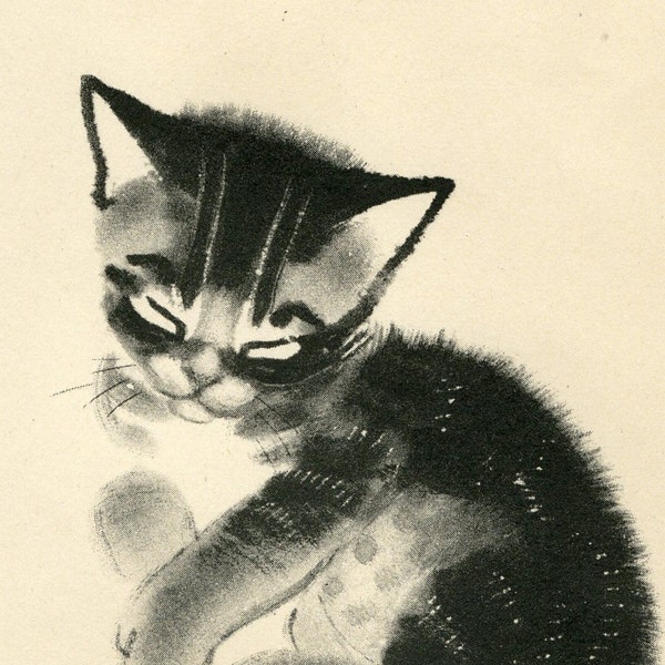 Matted Kitten Print by Clare Turlay Newberry C. 1943 Vintage Decor Sketch Illustration