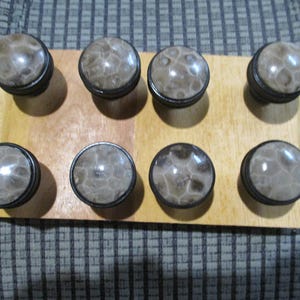 May include: Eight decorative cabinet knobs with a light brown, patterned surface and black metal trim are arranged on a light brown wooden board. The knobs are evenly spaced and appear to be new.