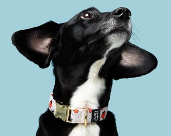 Cream strawberry dog collar • beige with luxury gold hardware