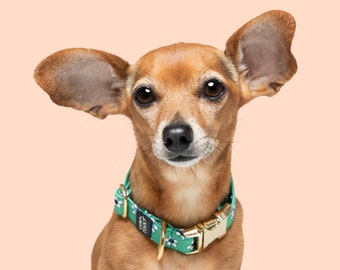 Green flower dog collar • gold brass buckle