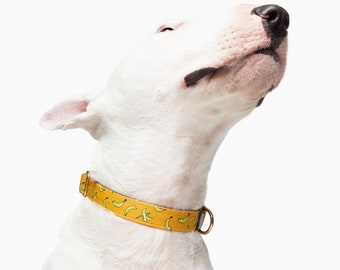 Yellow banana dog collar • luxury gold brass