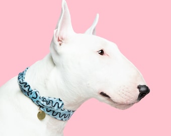 Comfy blue dog collar • graphic swirl pattern necktie