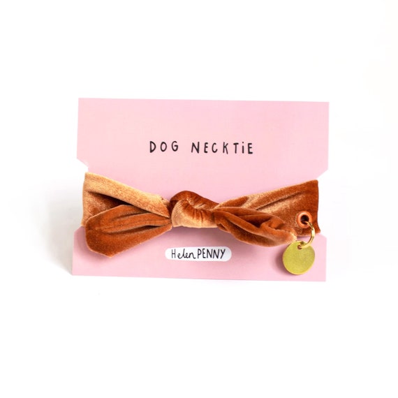 Soft dog collar • Burnt orange • necktie bandana • wedding