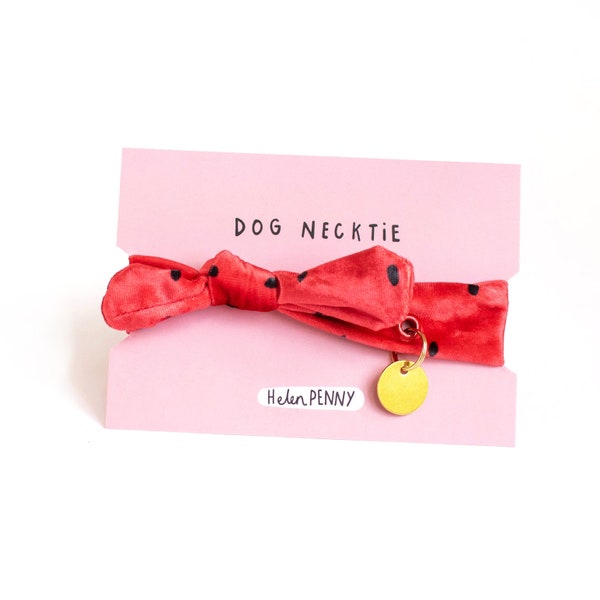 Comfy dog collar • watermelon coral red • soft necktie bandana