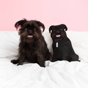 May include: Two black dogs, one a plush toy, are sitting on a white bed with a pink background. The plush dog has a silver tag around its neck.