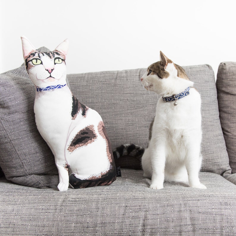 May include: Two cats, one a plush toy and the other a real cat, sit on a gray couch. The plush cat is white with brown spots and has a blue collar. The real cat is white with brown spots and has a blue collar with a bell.