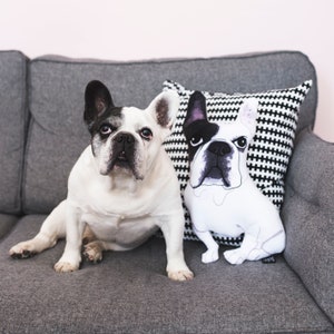 May include: A white and black French bulldog sits on a gray couch next to a black and white patterned pillow with a French bulldog design.