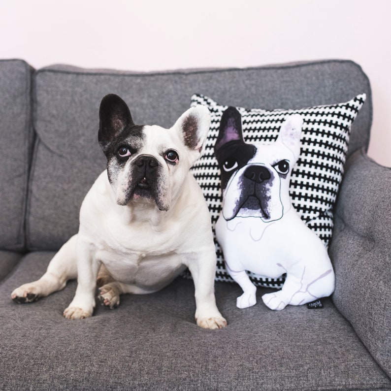May include: A white and black French bulldog sits on a gray couch next to a black and white patterned pillow with a French bulldog design.