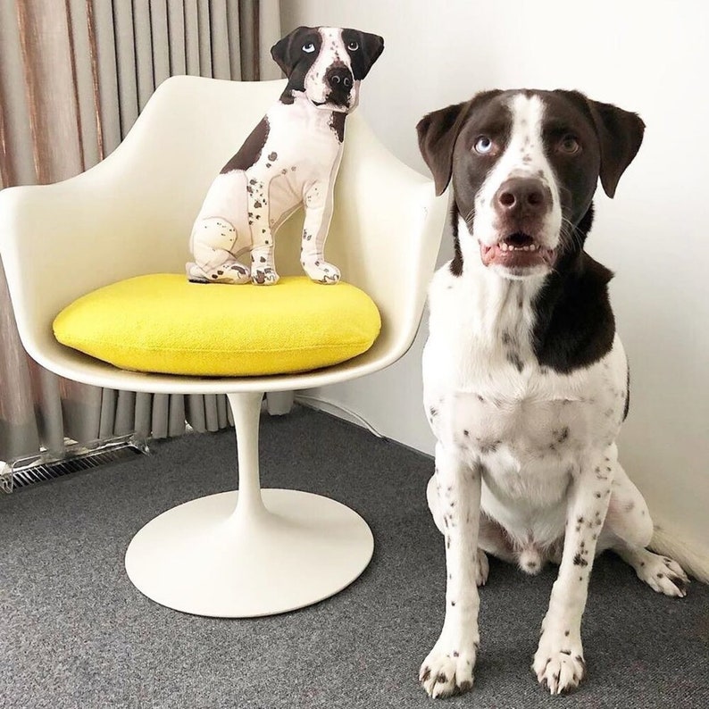 May include: A white and brown dog sitting on a white chair with a yellow cushion. A plush dog toy is sitting on the cushion.