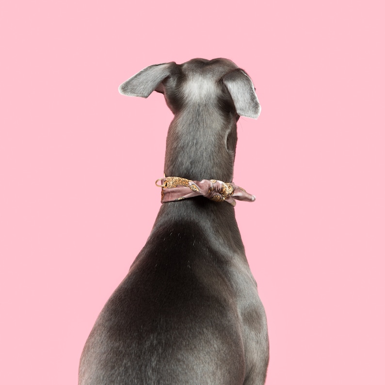 Handmade collar for dogs • soft velvet bandana • peanut mauve print image 2