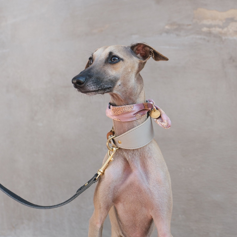 Handmade collar for dogs • soft velvet bandana • peanut mauve print image 4