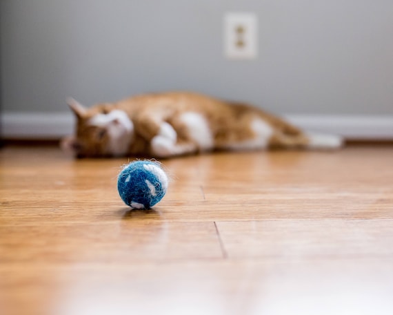 Felted Cat Toy
