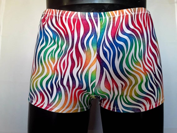 Mens Lycra Boxers Rainbow Tiger Stretch Shorts Festival Clothing Burning Man Mens Festival Swimwear Beachwear Gay Clubwear Pride Etsy UK