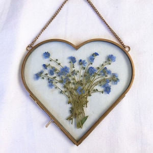 Framed Forget Me Nots,Pressed Forget Me Nots in a Heart Frame,Forget Me Nots Wall Decor,Pressed Blue Flowers,Flower Wall Decor