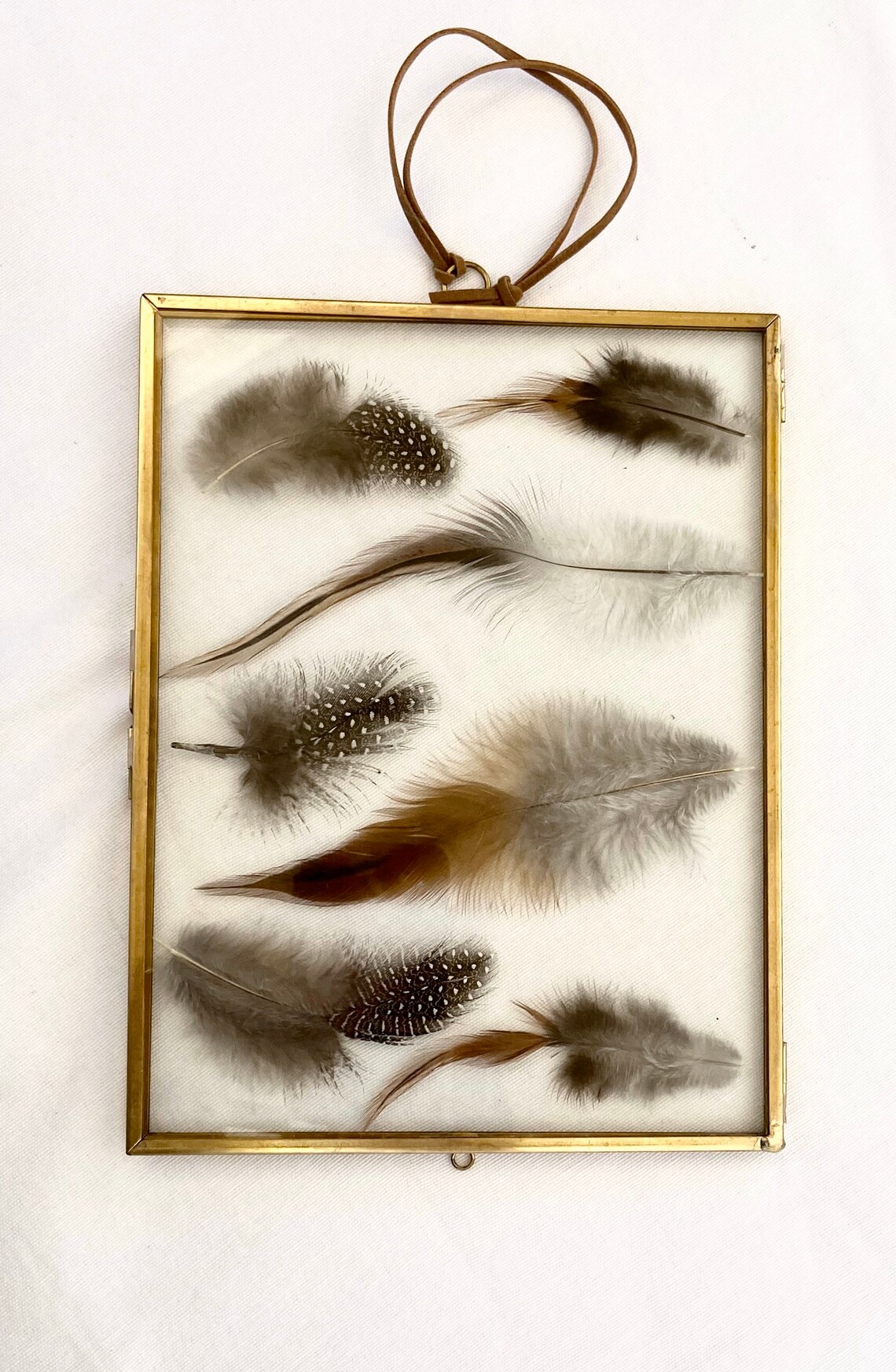 Framed Feathers Wall Art Feather Wall Art Gold Frame With Etsy