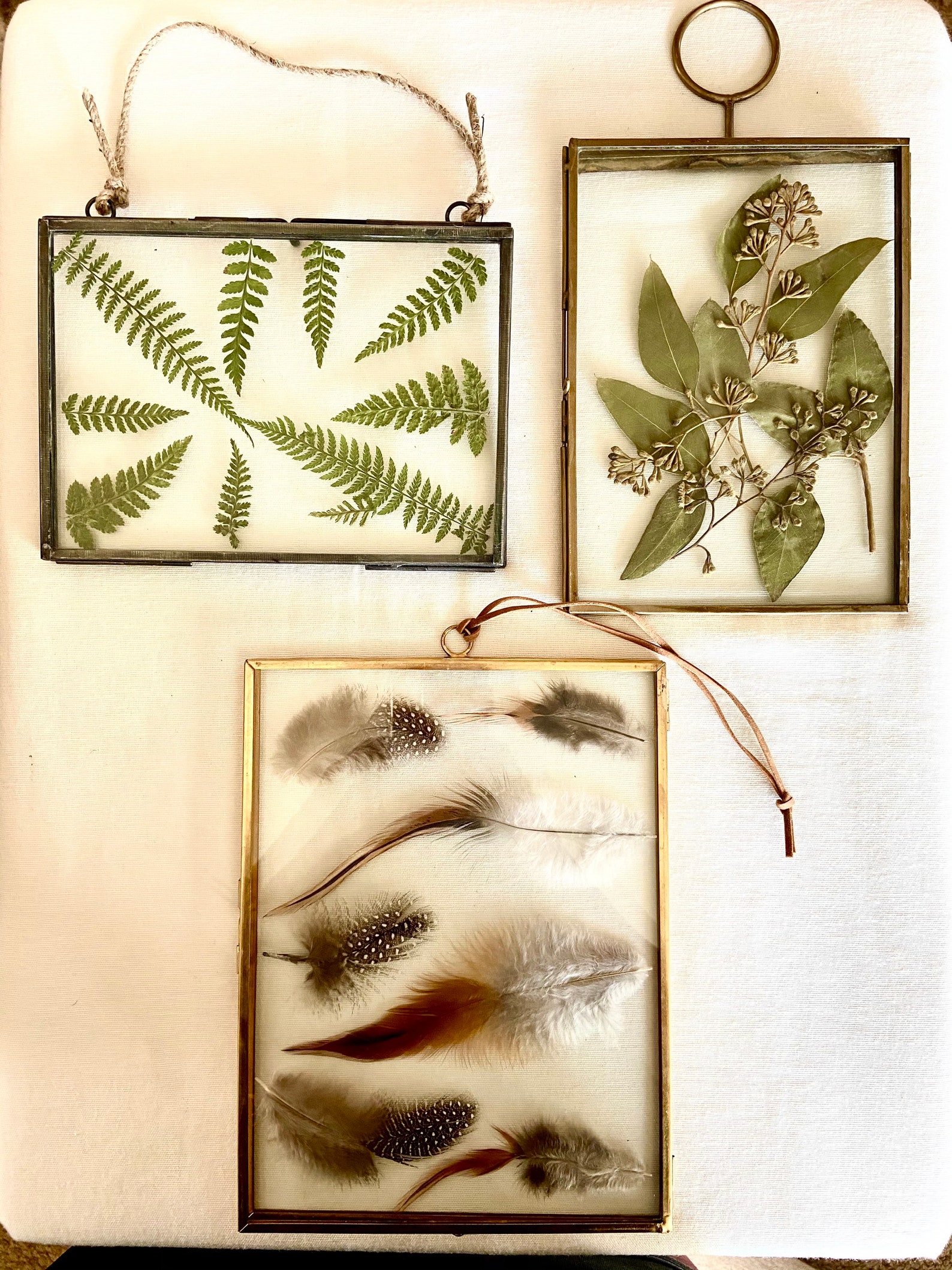 Framed Feathers Wall Art Feather Wall Art Gold Frame With Etsy