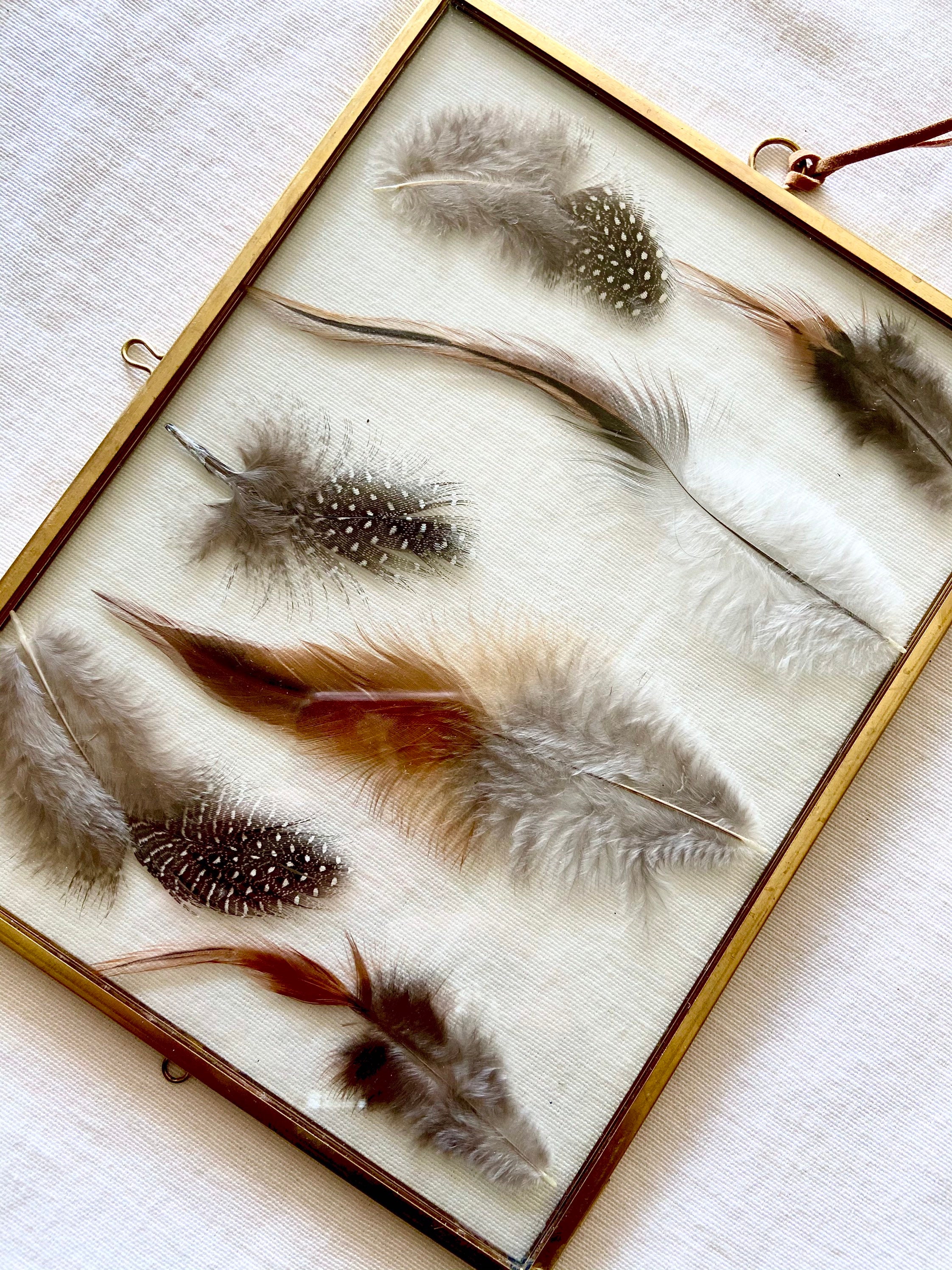 Framed Feathers Wall Art Feather Wall Art Gold Frame With Etsy