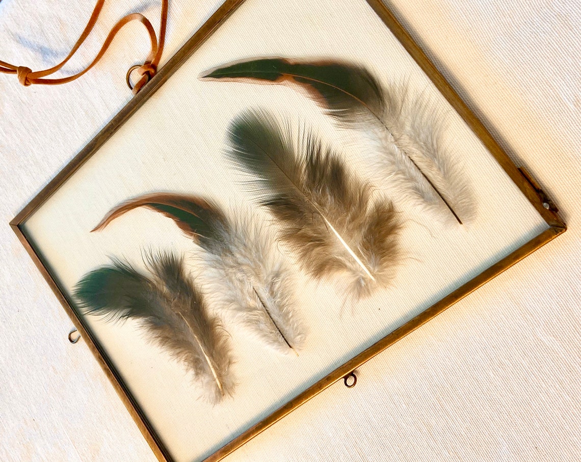 Framed Feathers Wall Art Feather Wall Art Gold Frame With Etsy
