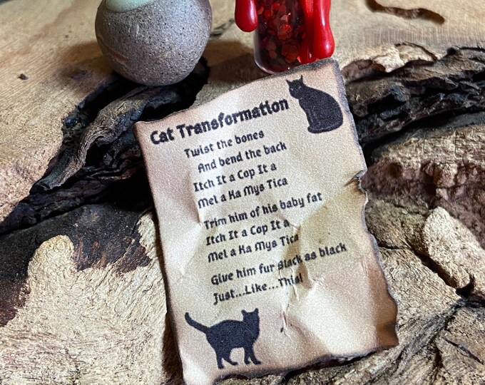 CAT TRANSFORMATION Spell Sheet, Dollhouse Miniature, Halloween, Fairy ...