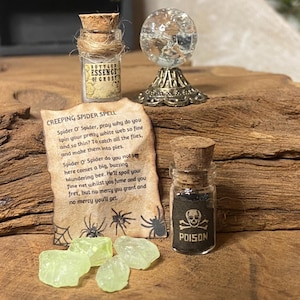 Dollhouse Miniature Accessories | 1:12 Scale Witchy Mini Apothecary Bottles and Spell Sheet for Haunted Vibes | Artisan Handmade