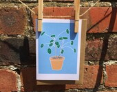 Chinese Money Plant Card with Vegan Envelope - Good Luck - Congratulations - Housewarming - Moving - Pilea peperomioides - UFO Pancake Plant